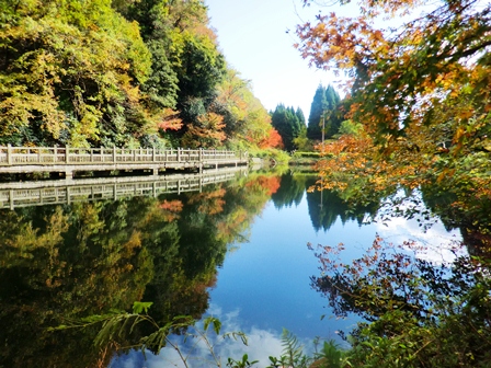 もみじ池・・紅葉