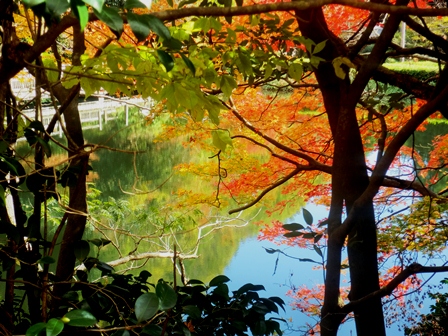 もみじ池・・紅葉