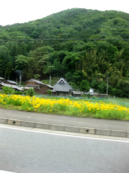 『初夏の水物語』　