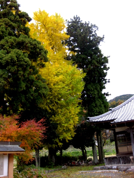 宗正寺・・十一面観音坐像