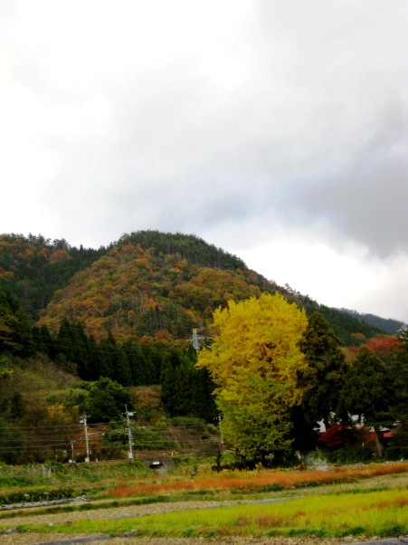 宗正寺・・十一面観音坐像