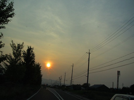 今夜は冷えません・・今日の風景