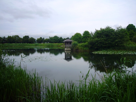浜分沼