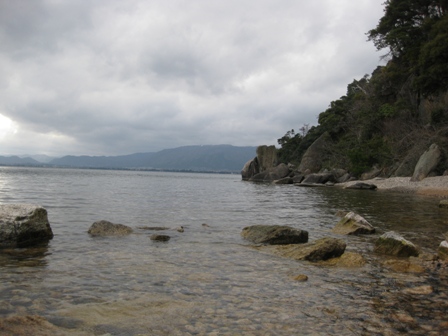 まだ蕾小さく・・でも、海津大崎は絶景