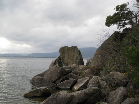 まだ蕾小さく・・でも、海津大崎は絶景