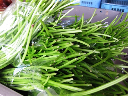 野菜たち
