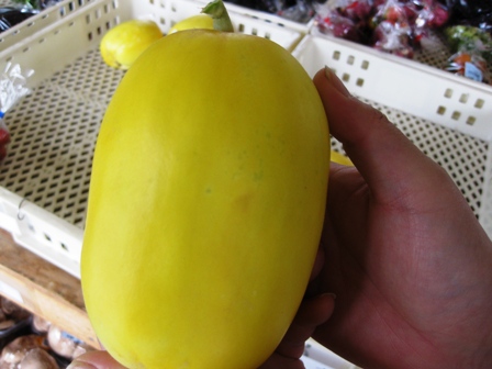 野菜たち