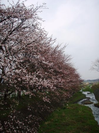 花衣