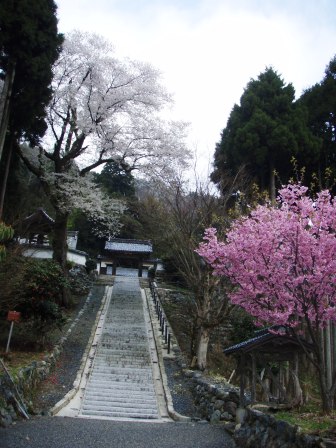 酒波寺