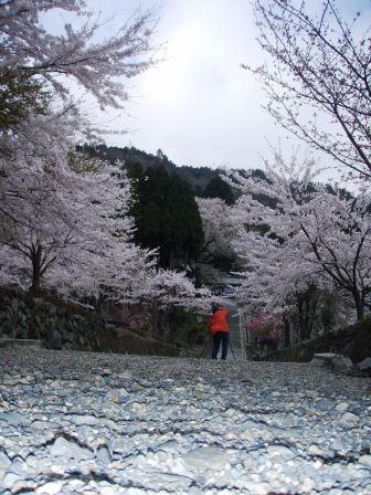 酒波寺