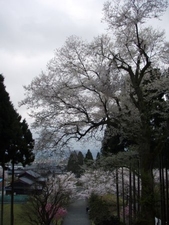 酒波寺