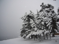 高島市・朝の雪