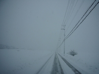 高島市・朝の雪