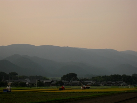 稲刈りがはじまりました・・高島市