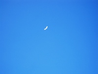 バイカモに青空、琵琶湖畔も青く・・そして夕暮れ