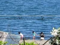 バイカモに青空、琵琶湖畔も青く・・そして夕暮れ