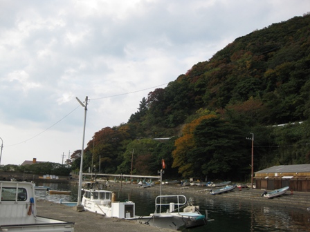 田烏（がらす）