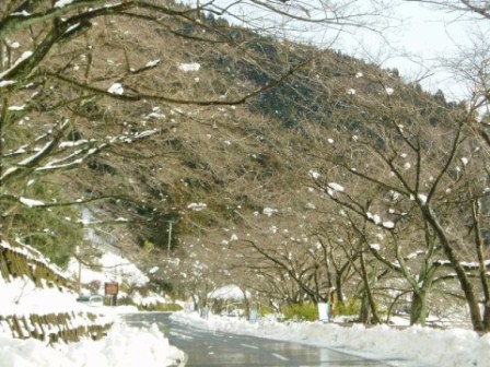 今日の高島市内様子