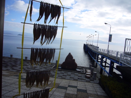 淡探・はっけん号