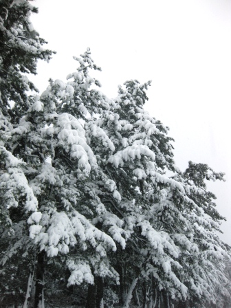 限界集落にも積雪