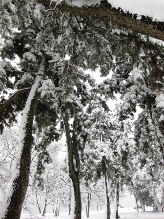 限界集落にも積雪