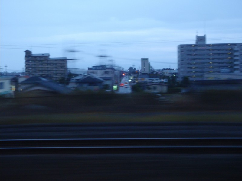11月も落葉とともに・・