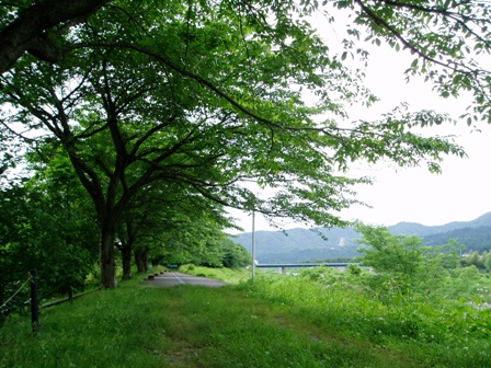 梅雨の中で風景を・・