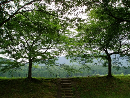 梅雨の中で風景を・・