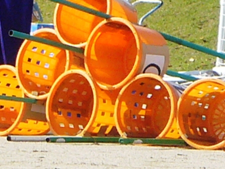 地域運動会
