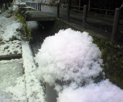 わたぼうし