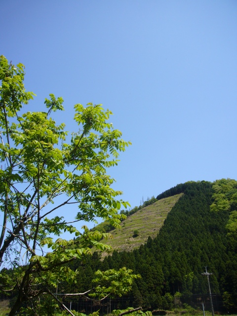 山笑う