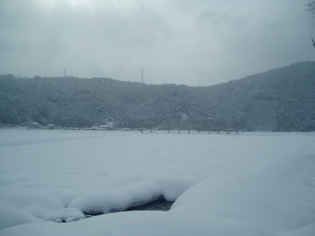 2012年１月、お終いです