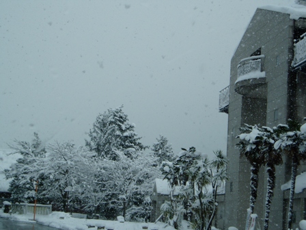 2012年１月、お終いです