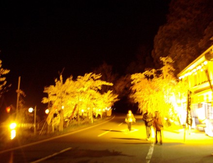 夜・海津大崎