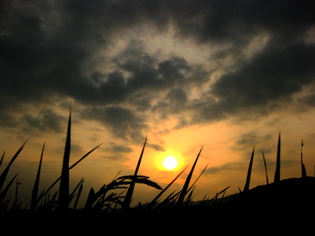 夕陽・・・風は生暖かい
