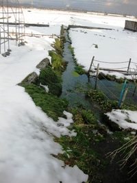 早くも日暮れに・・