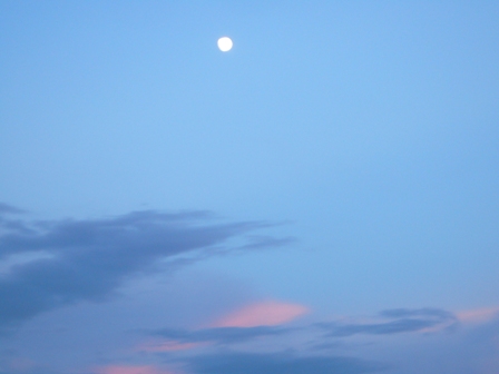 ８月１３日夕刻、お月様
