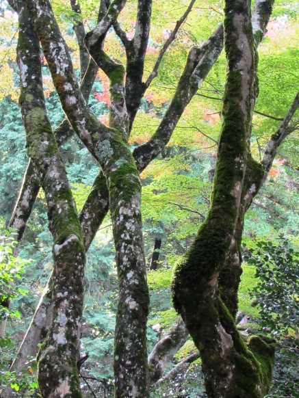 禅智院・・法要