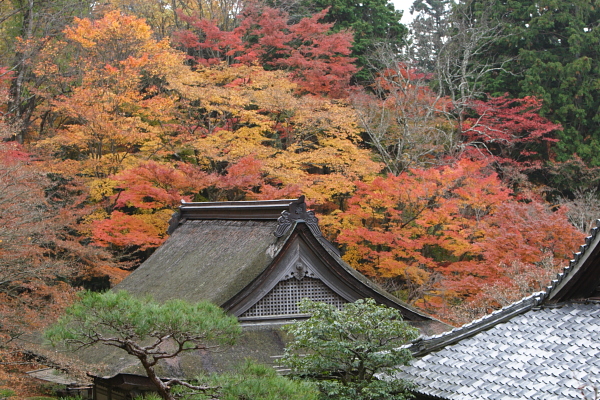 百済寺　