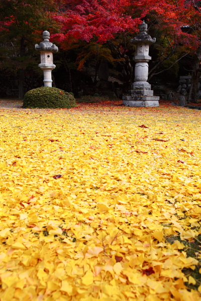 東光寺