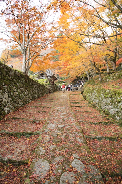 百済寺　