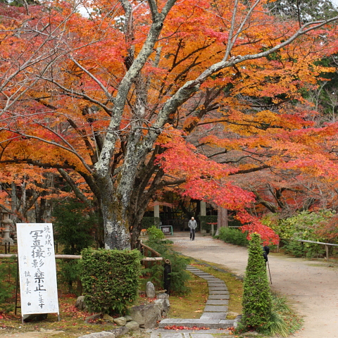 箕作山 その２（瓦屋寺）