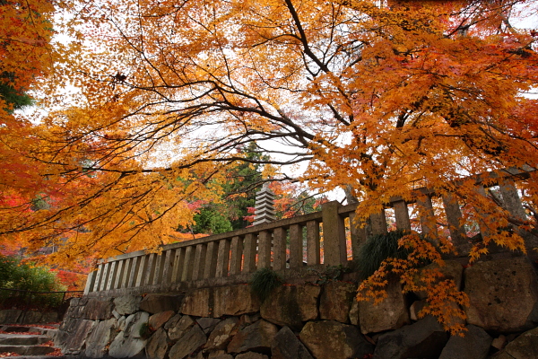 箕作山 その２（瓦屋寺）