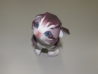 スコティッシュフォールド