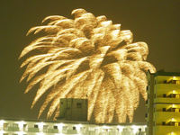 椰子の葉（花火）