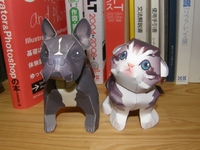 フレンチブルドッグ