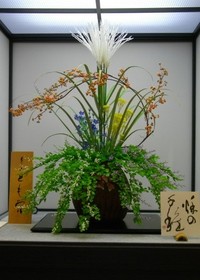 秋の千種