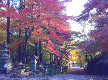 胡宮神社の紅葉