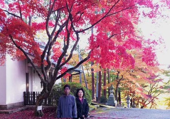 胡宮神社の紅葉