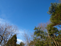 謹賀新年の信楽の空
